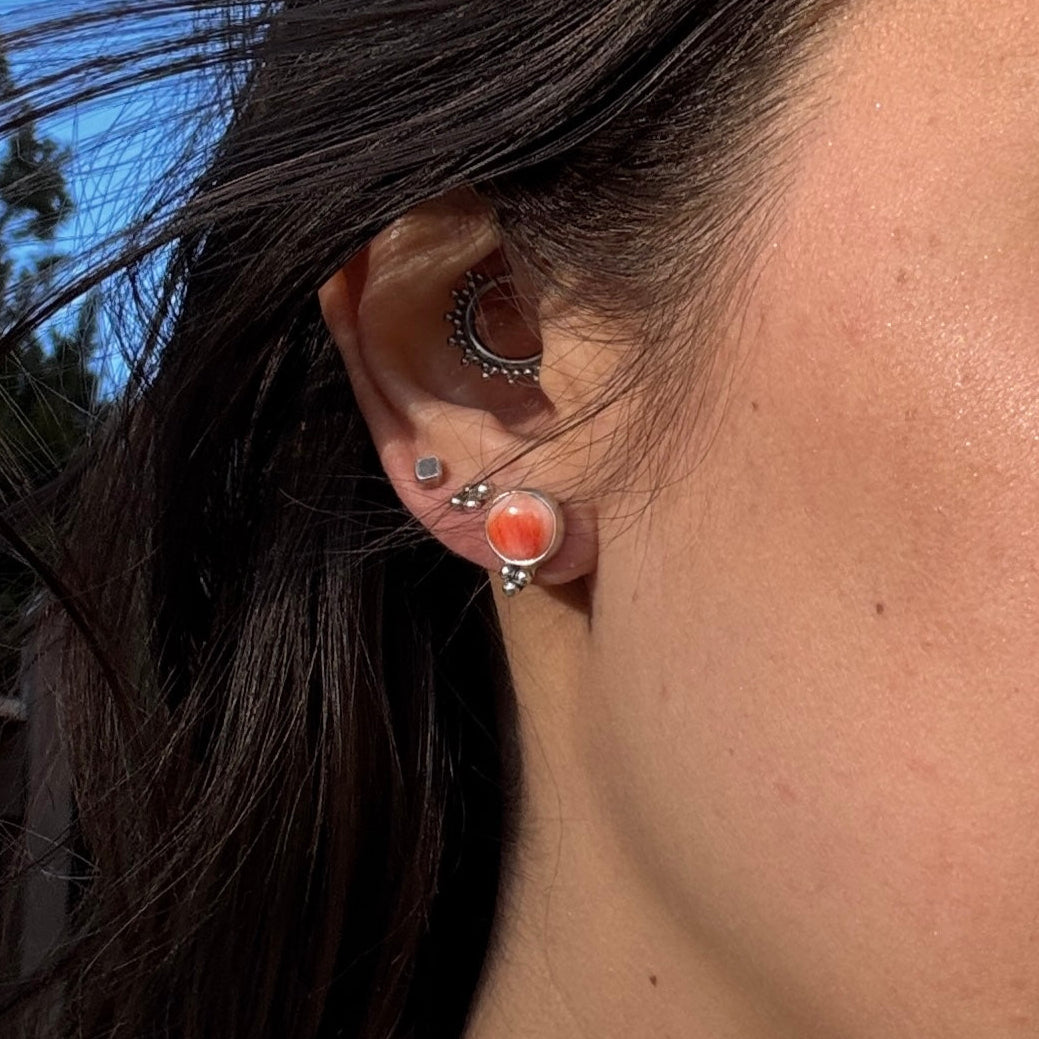 Spiny Oyster Studs